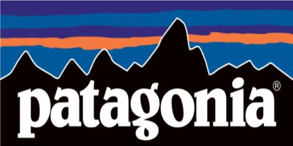 What Patagonia’s Donation Shows Us About American Philanthropy